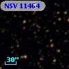 NSV 11464
