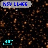 NSV 11466