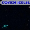 CXOYECDF J033116.9-275516