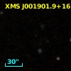 XMS J001901.9+161646