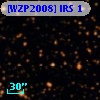 [WZP2008] IRS 1
