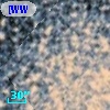[WWS2006] M 55 12