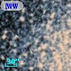 [WWS2006] M 55 13