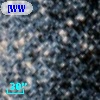 [WWS2006] M 55 14