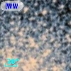 [WWS2006] M 55 42