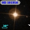 HD 101950