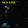 ACO  1255
