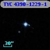 TYC 4390-1229-1