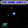 TYC 4390-1303-1