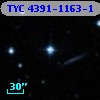 TYC 4391-1163-1