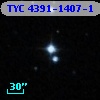 TYC 4391-1407-1