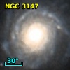 NGC  3147