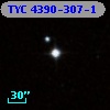 TYC 4390-307-1