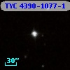 TYC 4390-1077-1