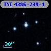 TYC 4386-239-1