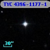 TYC 4386-1177-1