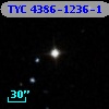 TYC 4386-1236-1