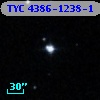 TYC 4386-1238-1