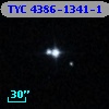 TYC 4386-1341-1