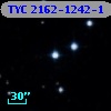 TYC 2162-1242-1