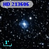 HD 213606