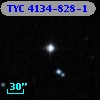 TYC 4134-828-1