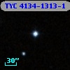 TYC 4134-1313-1
