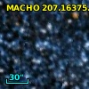 MACHO 207.16375.39