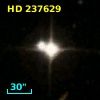 HD 237629