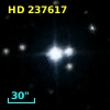 HD 237617