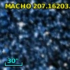 MACHO 207.16203.47