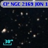 Cl* NGC 2169    JON      14