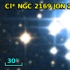 Cl* NGC 2169    JON      24