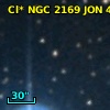 Cl* NGC 2169    JON      45