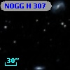 NOGG H  307