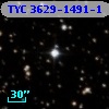 TYC 3629-1491-1