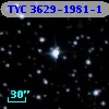 TYC 3629-1981-1