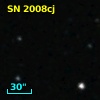 SN 2008cj