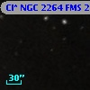 Cl* NGC 2264    FMS  2-104