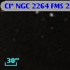 Cl* NGC 2264    FMS  2-115