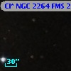 Cl* NGC 2264    FMS  2-116