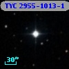 TYC 2955-1013-1