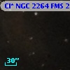 Cl* NGC 2264    FMS  2-480