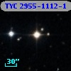 TYC 2955-1112-1