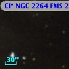 Cl* NGC 2264    FMS  2-501