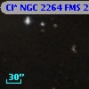 Cl* NGC 2264    FMS  2-536