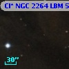 Cl* NGC 2264    LBM    5081
