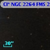 Cl* NGC 2264    FMS  2-777