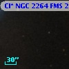 Cl* NGC 2264    FMS  2-800