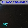 Cl* NGC 2264    FMS  2-810